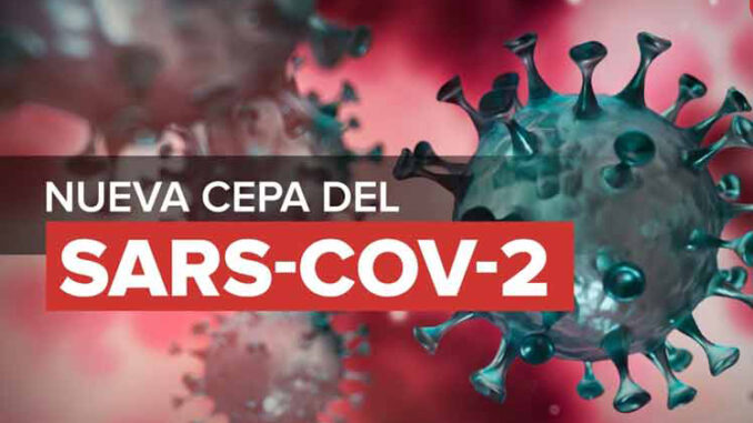 coronavirus nueva cepa 678x381